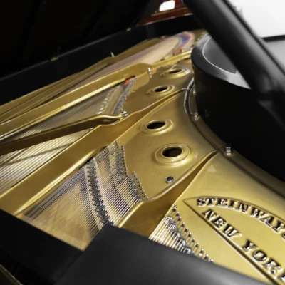 A 9ft Steinway D Concert Grand Piano in hand-rubbed satin ebony finish. An internal shot focusing on the piano harp and strings.