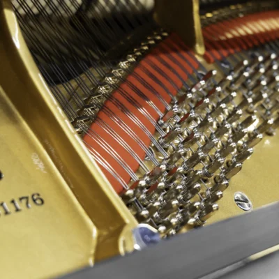 The interior of a Steinway D concert grand piano, including the harp, tuning pins, and strings.